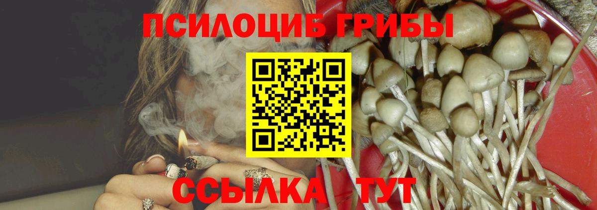 Псилоцибиновые грибы Magic Shrooms  Вход с VPN  Ликино-Дулёво 